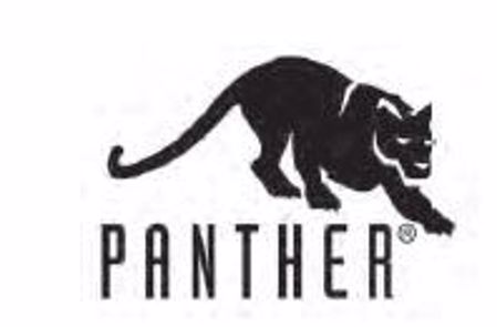 Picture for category  PANTHER JEWELERS’ BURS INDIVIDUAL SHAPES